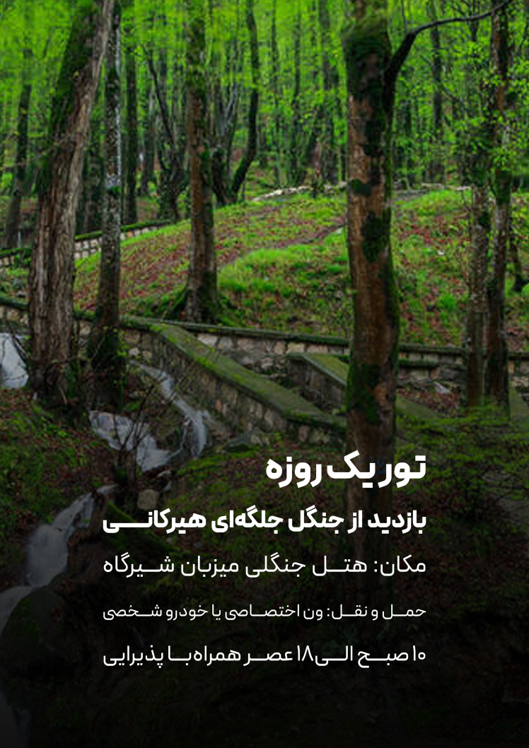 تور یک روزه تجربه محور هتل جنگلی 