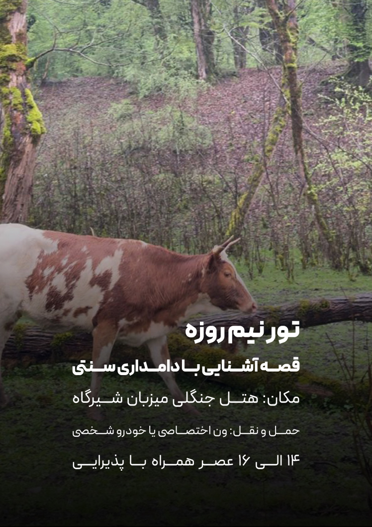 تور نیم روزه قصه دامداری سنتی 